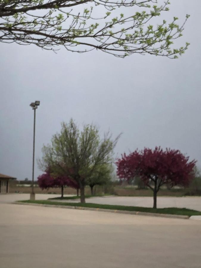 Americas Best Value Inn Onawa Exterior photo